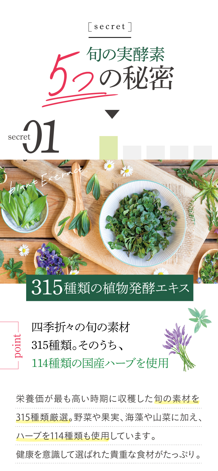 公式【旬の実酵素】酵素サプリが美容・健康をサポート | さくらの森